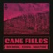 Cane Fields (feat. Jesse Royal) - Natural High Music, Wayne Marshall & Kabaka Pyramid lyrics