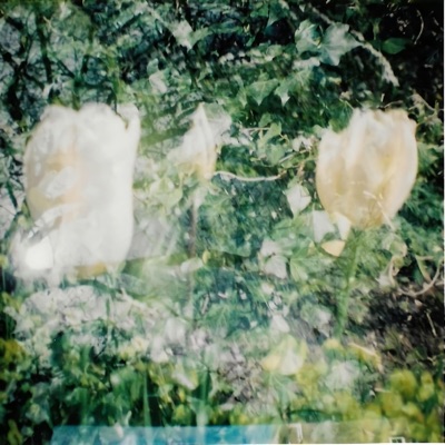 Shy - Single