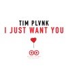 I JUST WANT YOU by TIM PLVNK iTunes Track 1
