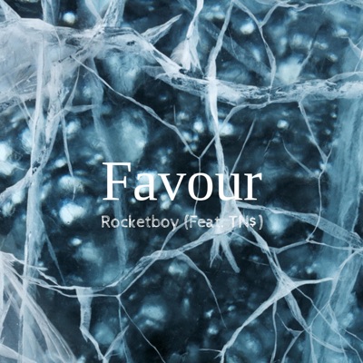 Favour (feat. TN$) - Single