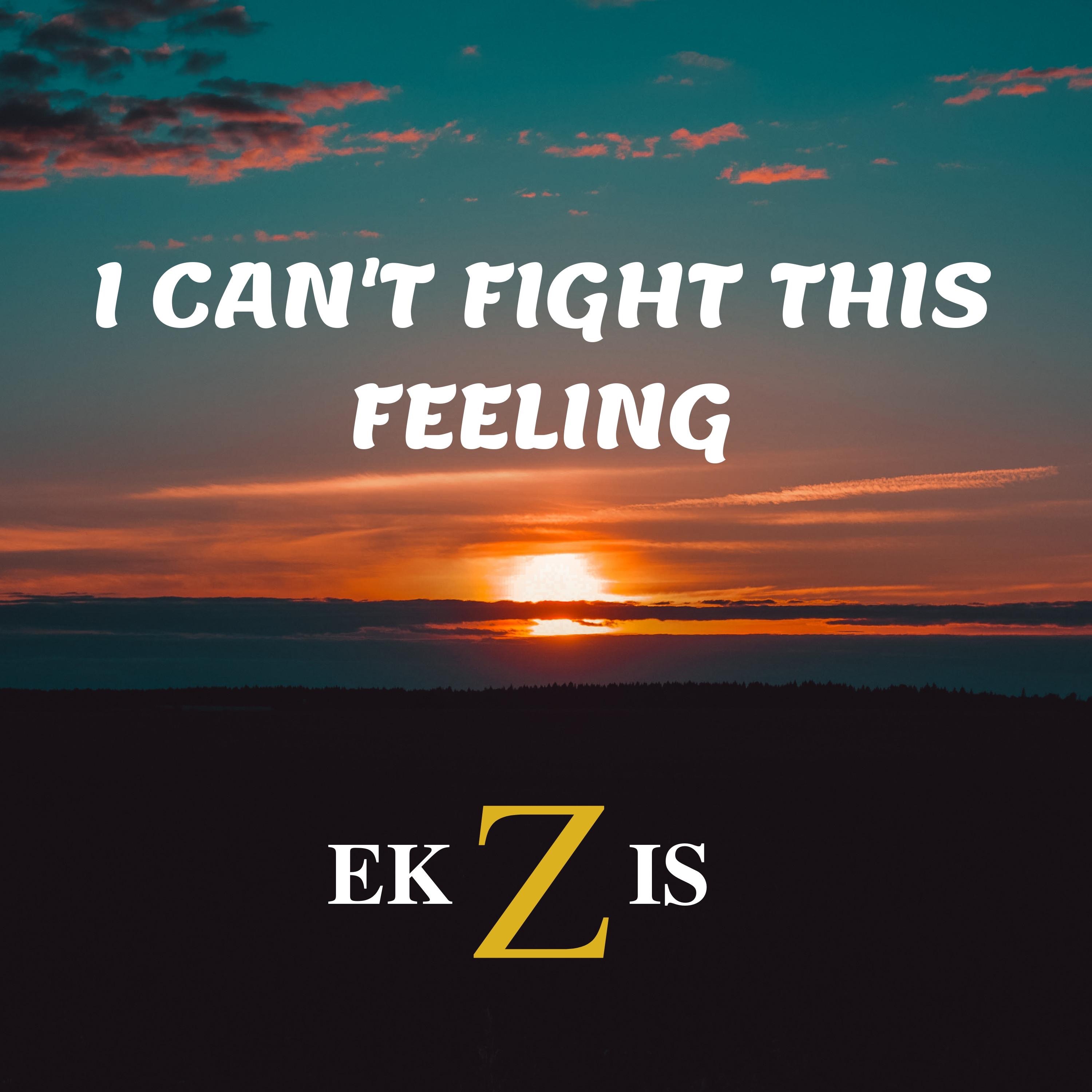 I Can't Fight This Feeling - Single