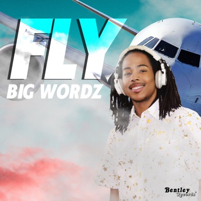 Fly - Single