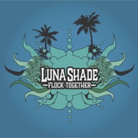 Flock Together - Luna Shade