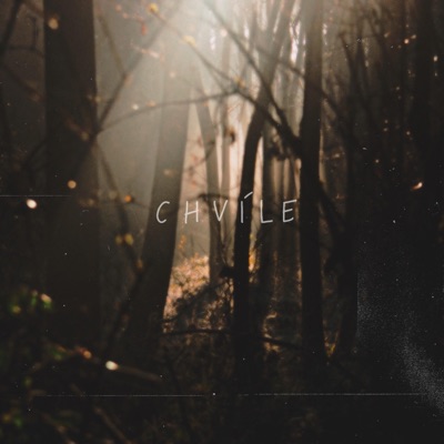 Chvíle (feat. Vivere) - Single