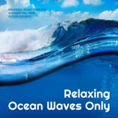 Relaxing Ocean Waves Only artwork