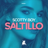 Saltillo (Remixes) - EP artwork