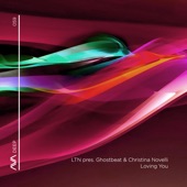 Loving You (Extended Mix) artwork