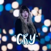 Cry (feat. Jvnior Amoux) - Single