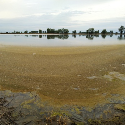 Delle cose divertenti che non farò mai più, vol. 1 - EP