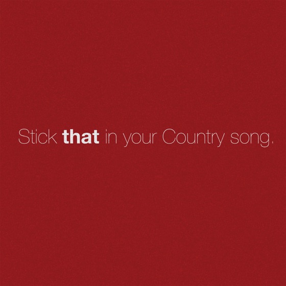 Cover artwork for Stick That in Your Country Song