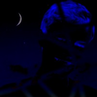 Nocturna - Flavien 7