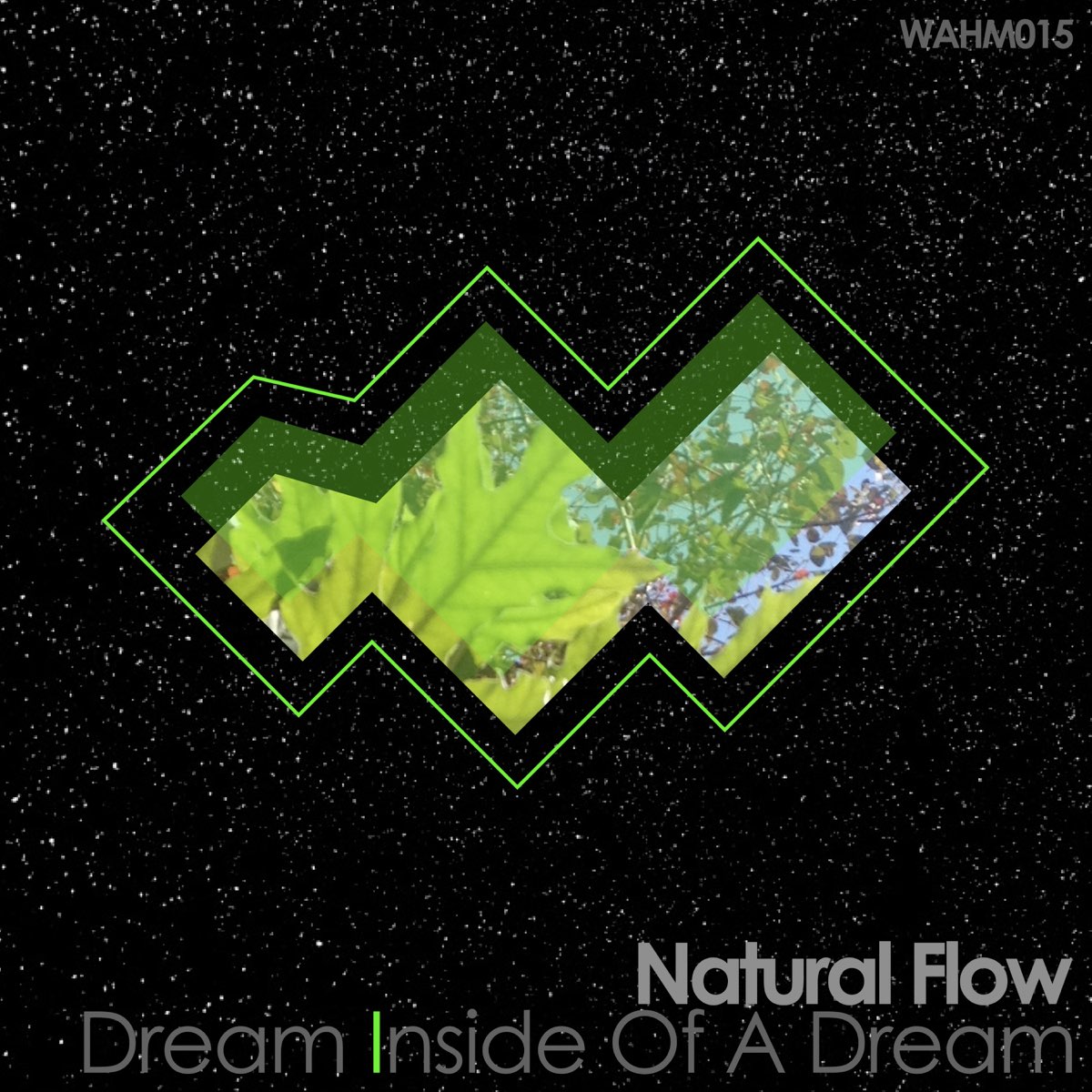 Dream Flow. Flow of Ghosts. Natural flow
