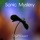 Sonic Mystery - Love of Two Hearts