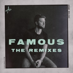 Famous: The Remixes - EP