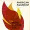 Lonely Ain't Easy - American Aquarium lyrics