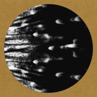 Man on Wire - Single - Skudge