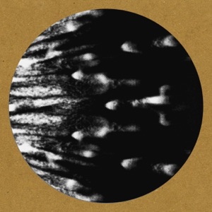 Man on Wire - Single
