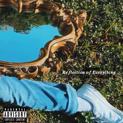 Reflection of Everything