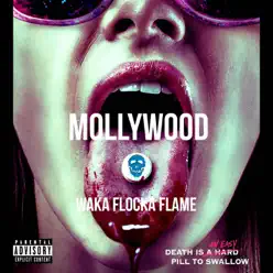 Mollywood - Waka Flocka Flame
