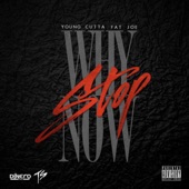 Why Stop Now (feat. Fat Joe) artwork