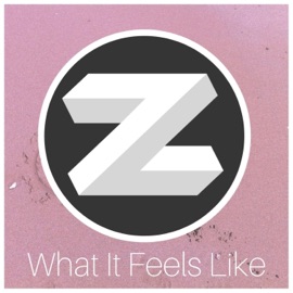 What It Feels Like Zanoii