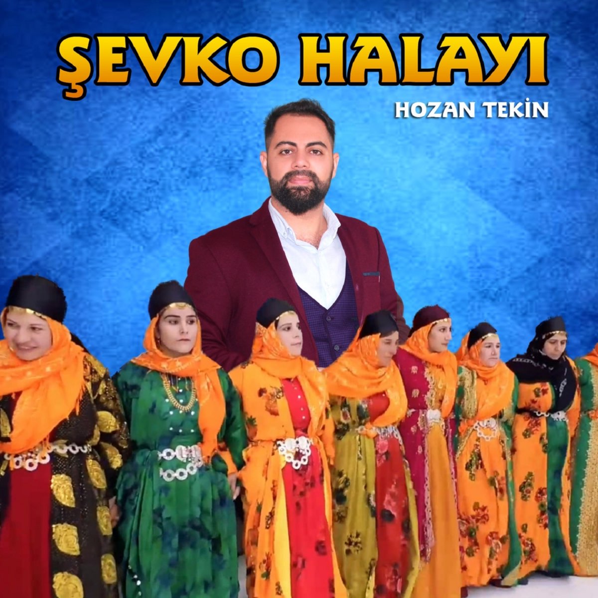 Şevko Halayı - EP - Album by Hozan Tekin - Apple Music
