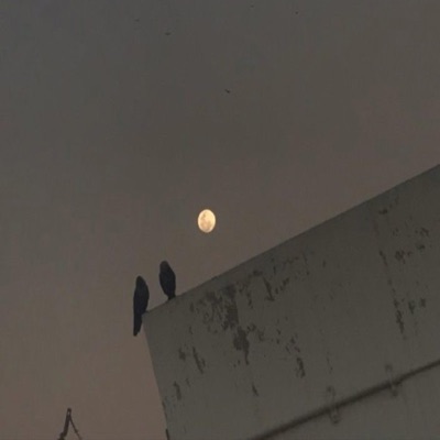 Shots In the Dark - Single
