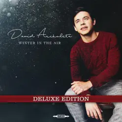 Winter in the Air (Deluxe) - David Archuleta