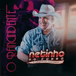 O Reincidente - Netinho do Forró