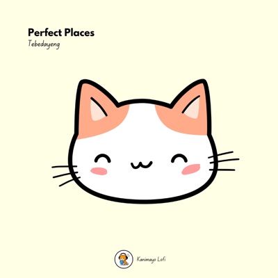Perfect Places - Single