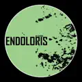 Endoloris