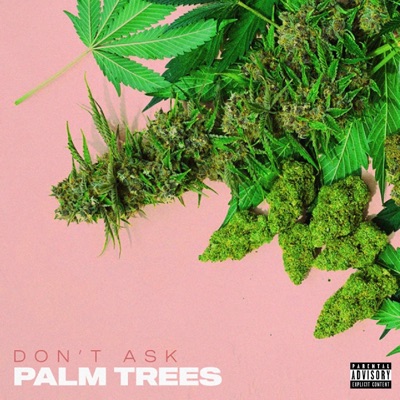 Palm Trees (feat. Call Me Sy! & Akh) - Single