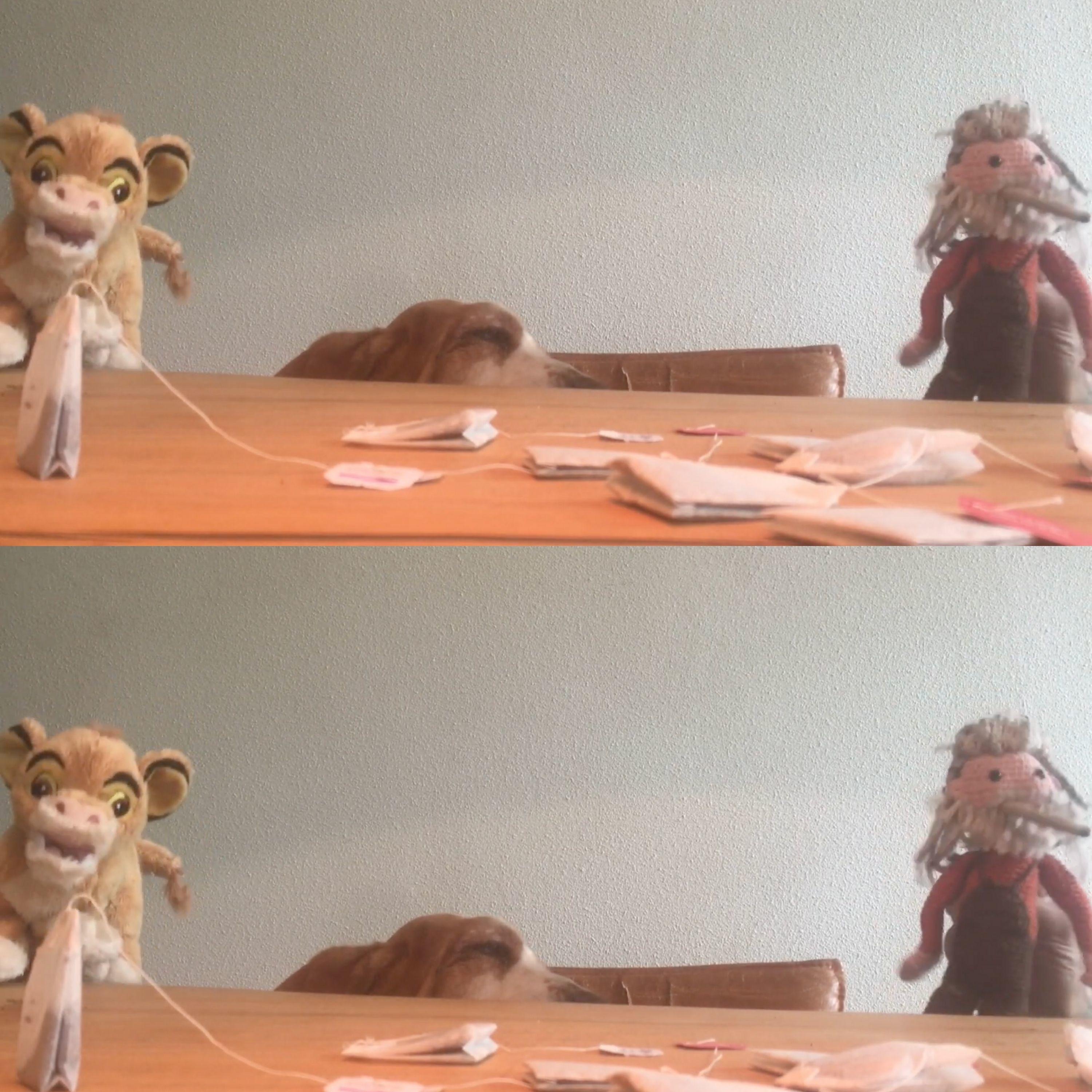 Ramona (feat. Rasta Rasta) - Single