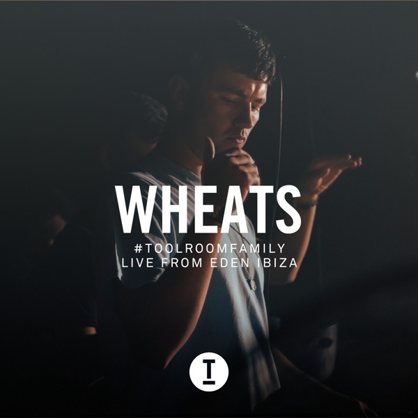 Toolroom Family (Live from Eden Ibiza) [DJ Mix]