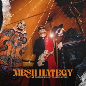 Mesh Hategy (feat. Abo El Anwar) artwork