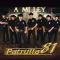 PATRULLA 81