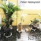 Rain - Peter Heavyroot lyrics