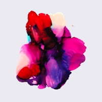 Molotov - Single - John Allen Stephens