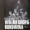 Wolna Grupa Bukowina - Nocna piosenka o mieście