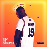 Now or Whenever - Single - Paul Gee