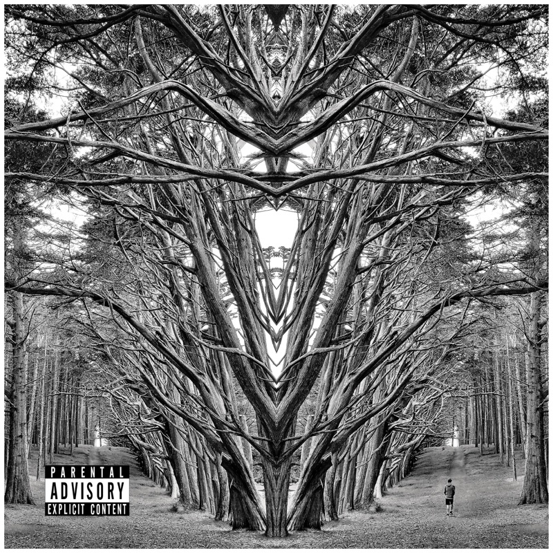 Edge - 2Fly Savi: Song Lyrics, Music Videos & Concerts