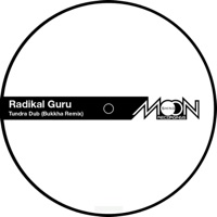 Tundra Dub (Bukkha Remix) - Single - Radikal Guru