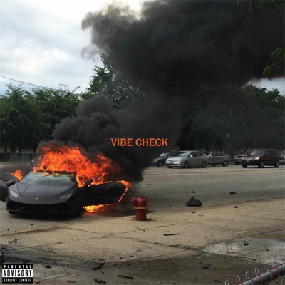 Vibe Check (feat. Slakjaw) - Single