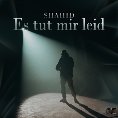 Es tut mir leid - Single