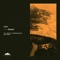 Distant (dub.format Remix) - Lerr lyrics