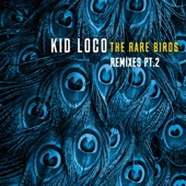 The Rare Birds Remixes, Pt. 2 artwork