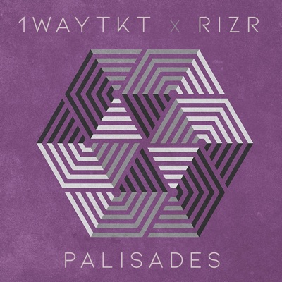 Palisades (feat. Rizr) - Single