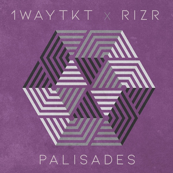 Cover of Palisades (feat. Rizr) - Single