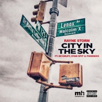 City in the Sky (feat. McGruff, Stan Spit & Phoenixx) - Single - Rayne Storm