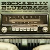 David Talbot Blue Suede Shoes (feat. David Talbot) Rockabilly Bluegrass